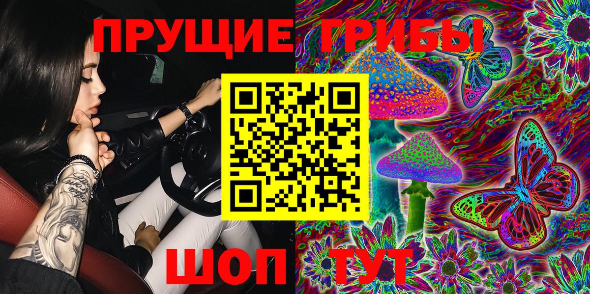 Протвино  магазин  наркотиков  Вход с VPN  Псилоцибиновые грибы Psilocybine cubensis 